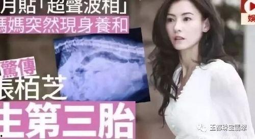 娱乐圈吃瓜张柏芝