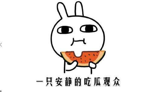 网上吃瓜的意思,揭秘网友围观背后的娱乐狂欢